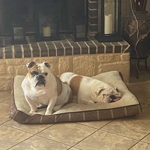 Meet your Posher, Frank